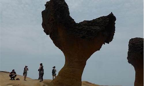 野柳地质公园造就了什么奇特景观_野柳地质公园造就了什么奇特景观