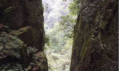 天目山旅游攻略两日游_天目山旅游攻略两日游路线